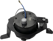 Zen fog lamp assembly